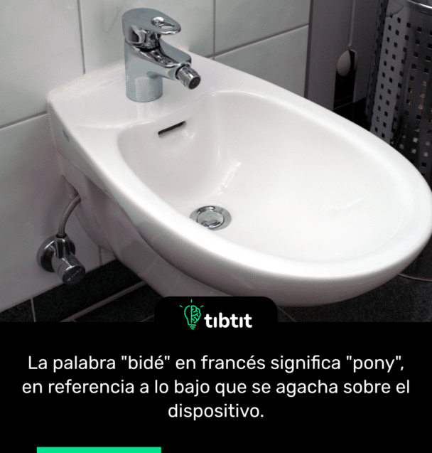 La palabra "bidé" en francés significa "pony", en referencia a lo bajo que se agacha sobre el dispositivo.