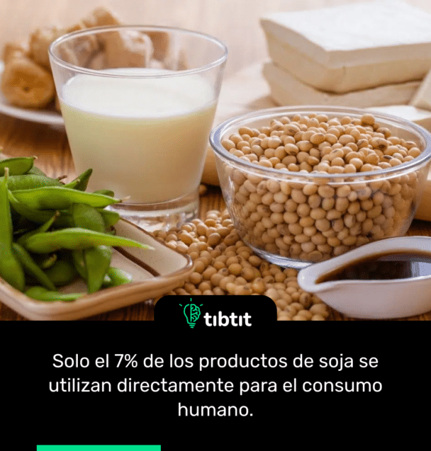 Solo el 7% de los productos de soja se utilizan directamente para el consumo humano.