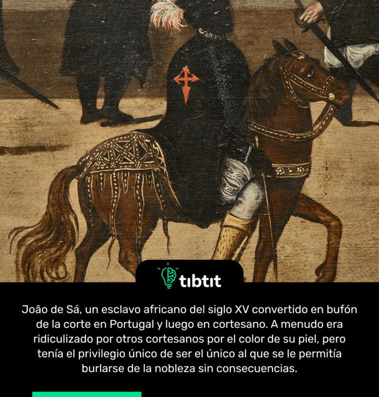 João de Sá, un esclavo africano del siglo XV convertido en bufón de la corte en Portugal y luego en cortesano. A menudo era ridiculizado por otros cortesanos por el color de su piel, pero tenía el privilegio único de ser el único al que se le permitía burlarse de la nobleza sin consecuencias.