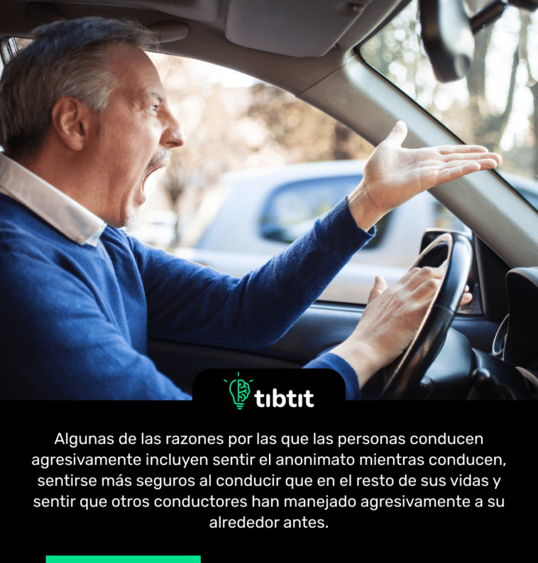 Algunas de las razones por las que las personas conducen agresivamente incluyen sentir el anonimato mientras conducen, sentirse más seguros al conducir que en el resto de sus vidas y sentir que otros conductores han manejado agresivamente a su alrededor antes.