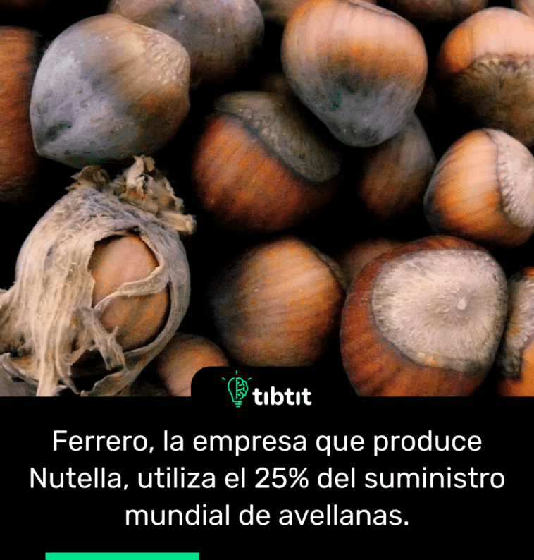 Ferrero, la empresa que produce Nutella, utiliza el 25% del suministro mundial de avellanas.