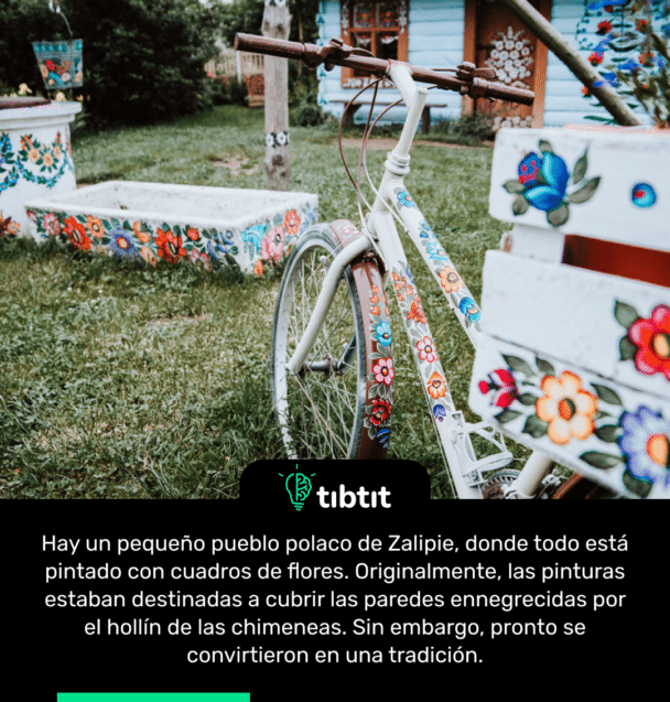 Hay un pequeño pueblo polaco de Zalipie, donde todo está pintado con cuadros de flores. Originalmente, las pinturas estaban destinadas a cubrir las paredes ennegrecidas por el hollín de las chimeneas. Sin embargo, pronto se convirtieron en una tradición.