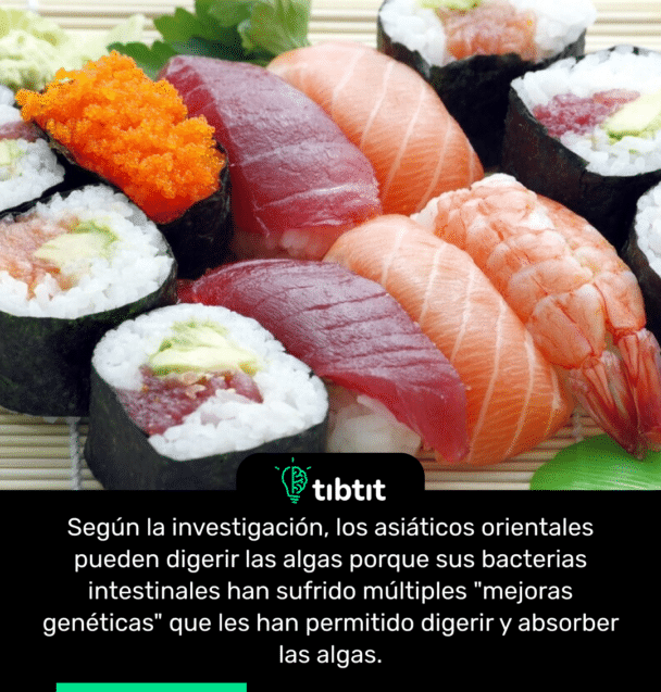 Según la investigación, los asiáticos orientales pueden digerir las algas porque sus bacterias intestinales han sufrido múltiples "mejoras genéticas" que les han permitido digerir y absorber las algas.