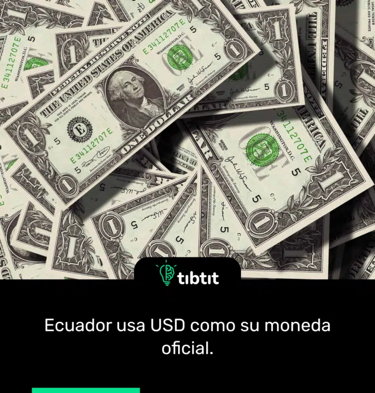Ecuador usa USD como su moneda oficial.