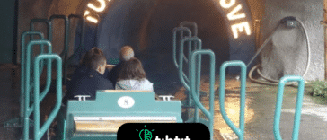 Las atracciones del "túnel del amor" eran populares en los parques de diversiones a principios del siglo XX porque eran una de las pocas oportunidades socialmente aceptables para que las parejas estuvieran solas en una cita y compartieran contacto físico. En 1950, había más de 700 en los Estados Unidos. Ahora hay menos de 10.