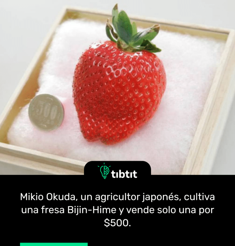 Mikio Okuda, un agricultor japonés, cultiva una fresa Bijin-Hime y vende solo una por $500.