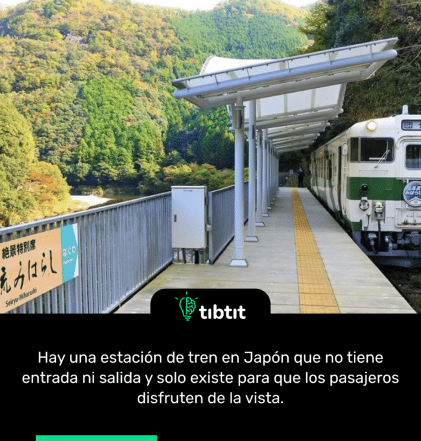 Hay una estación de tren en Japón que no tiene entrada ni salida y solo existe para que los pasajeros disfruten de la vista.