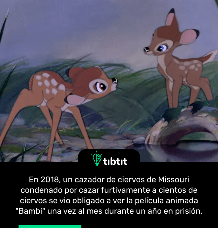 En 2018, un cazador de ciervos de Missouri condenado por cazar furtivamente a cientos de ciervos se vio obligado a ver la película animada "Bambi" una vez al mes durante un año en prisión.
