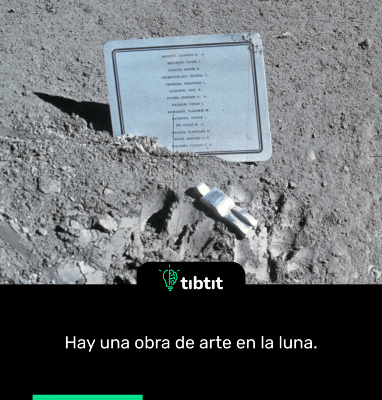 Hay una obra de arte en la luna.
