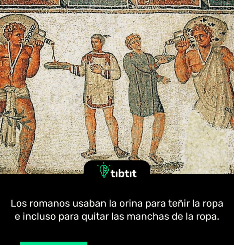 Los romanos usaban la orina para teñir la ropa e incluso para quitar las manchas de la ropa.