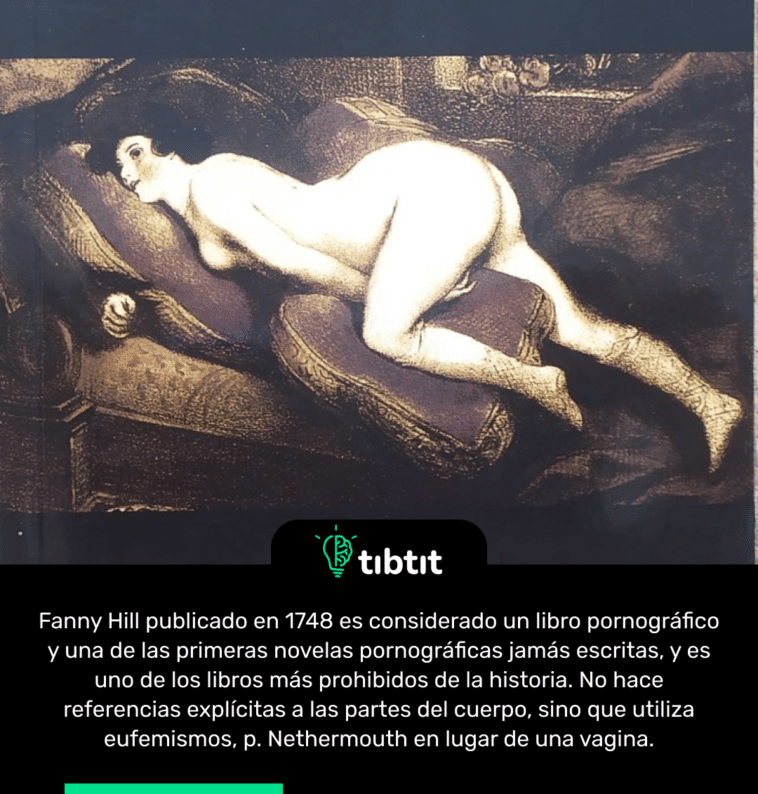 Fanny Hill publicado en 1748 es considerado un libro pornográfico y una de las primeras novelas pornográficas jamás escritas, y es uno de los libros más prohibidos de la historia. No hace referencias explícitas a las partes del cuerpo, sino que utiliza eufemismos, p. Nethermouth en lugar de una vagina.
