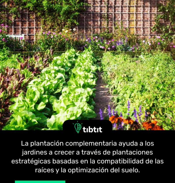 La plantación complementaria ayuda a los jardines a crecer a través de plantaciones estratégicas basadas en la compatibilidad de las raíces y la optimización del suelo.