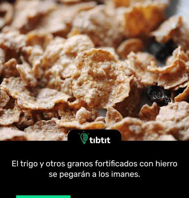 El trigo y otros granos fortificados con hierro se pegarán a los imanes.