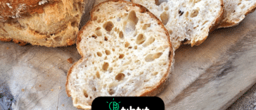 Ciabatta no es un pan italiano con una larga tradición. Fue inventado en 1982, principalmente como respuesta a la popularidad de las baguettes francesas.