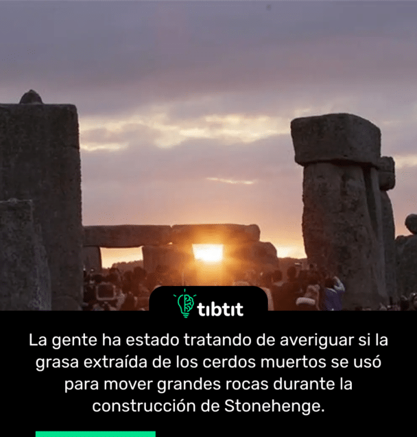 La gente ha estado tratando de averiguar si la grasa extraída de los cerdos muertos se usó para mover grandes rocas durante la construcción de Stonehenge.