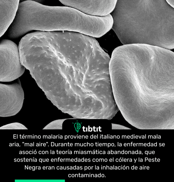 El término malaria proviene del italiano medieval mala aria, "mal aire". Durante mucho tiempo, la enfermedad se asoció con la teoría miasmática abandonada, que sostenía que enfermedades como el cólera y la Peste Negra eran causadas por la inhalación de aire contaminado.