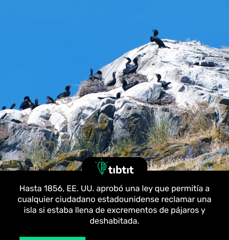 Hasta 1856, EE. UU. aprobó una ley que permitía a cualquier ciudadano estadounidense reclamar una isla si estaba llena de excrementos de pájaros y deshabitada.