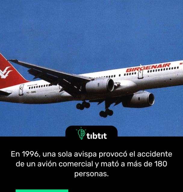 En 1996, una sola avispa provocó el accidente de un avión comercial y mató a más de 180 personas.