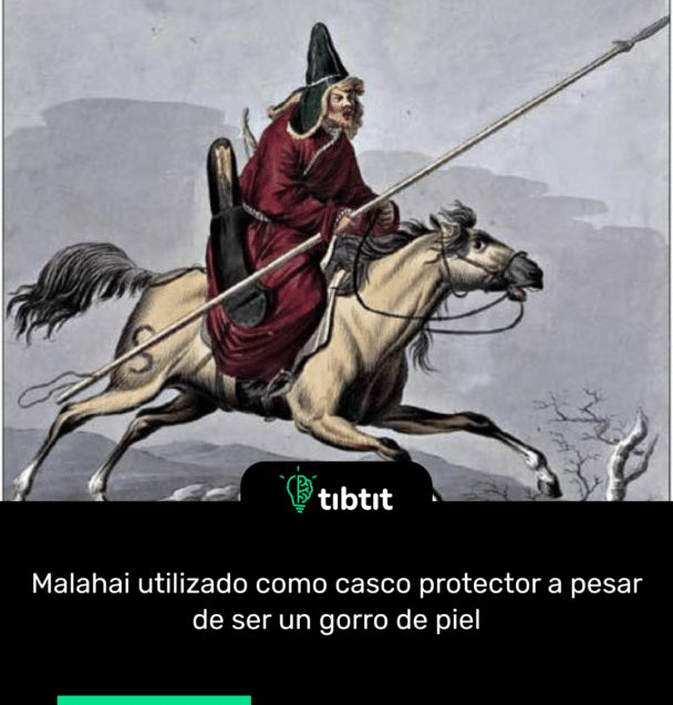 Malahai utilizado como casco protector a pesar de ser un gorro de piel