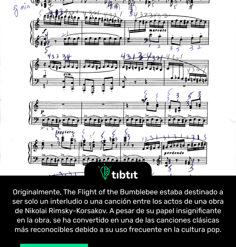 Originalmente, The Flight of the Bumblebee estaba destinado a ser solo un interludio o una canción entre los actos de una obra de Nikolai Rimsky-Korsakov. A pesar de su papel insignificante en la obra, se ha convertido en una de las canciones clásicas más reconocibles debido a su uso frecuente en la cultura pop.