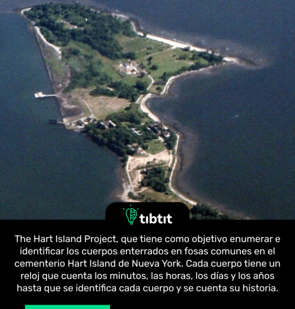 The Hart Island Project, que tiene como objetivo enumerar e identificar los cuerpos enterrados en fosas comunes en el cementerio Hart Island de Nueva York. Cada cuerpo tiene un reloj que cuenta los minutos, las horas, los días y los años hasta que se identifica cada cuerpo y se cuenta su historia.