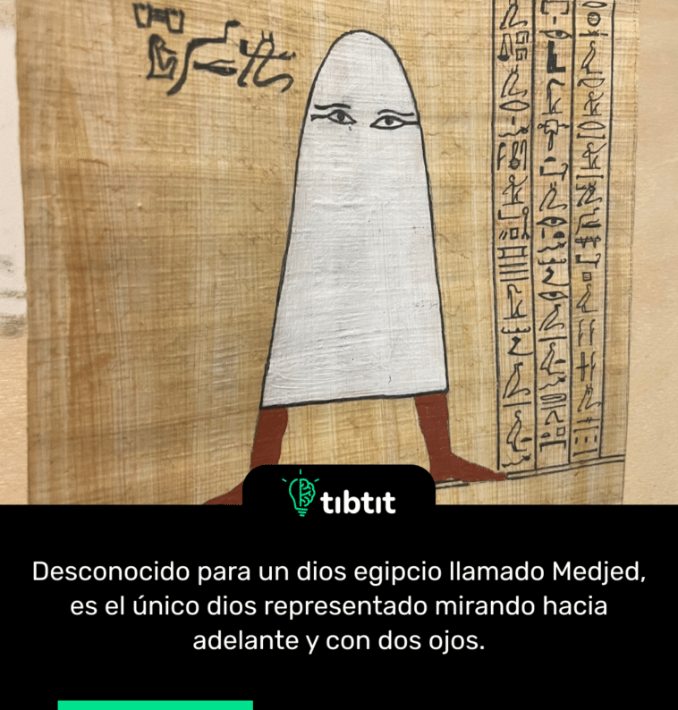 Desconocido para un dios egipcio llamado Medjed, es el único dios representado mirando hacia adelante y con dos ojos.