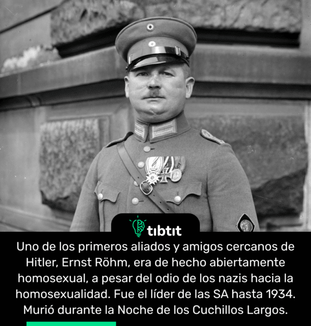 Uno de los primeros aliados y amigos cercanos de Hitler, Ernst Röhm, era de hecho abiertamente homosexual, a pesar del odio de los nazis hacia la homosexualidad. Fue el líder de las SA hasta 1934. Murió durante la Noche de los Cuchillos Largos.