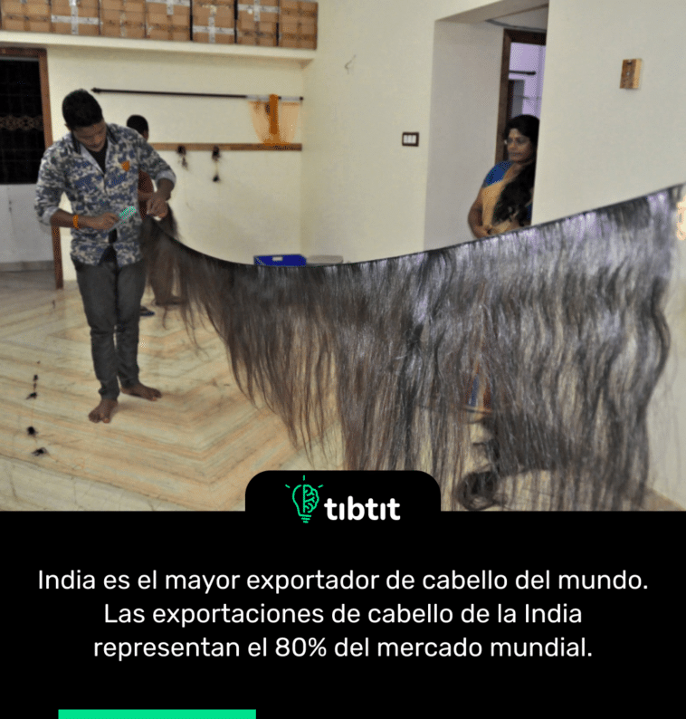 India es el mayor exportador de cabello del mundo. Las exportaciones de cabello de la India representan el 80% del mercado mundial.