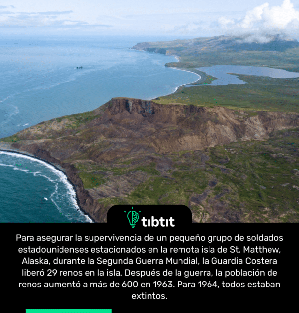 Para asegurar la supervivencia de un pequeño grupo de soldados estadounidenses estacionados en la remota isla de St. Matthew, Alaska, durante la Segunda Guerra Mundial, la Guardia Costera liberó 29 renos en la isla. Después de la guerra, la población de renos aumentó a más de 600 en 1963. Para 1964, todos estaban extintos.