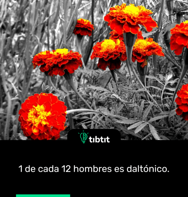1 de cada 12 hombres es daltónico.
