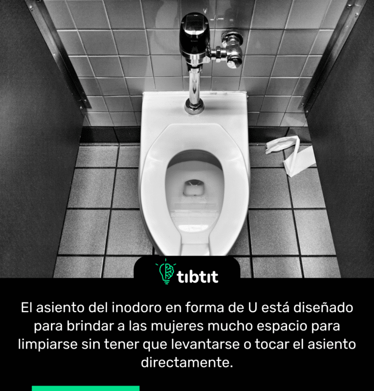 El asiento del inodoro en forma de U está diseñado para brindar a las mujeres mucho espacio para limpiarse sin tener que levantarse o tocar el asiento directamente.