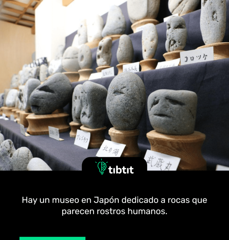 Hay un museo en Japón dedicado a rocas que parecen rostros humanos.