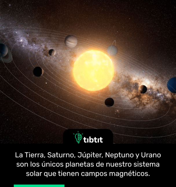 La Tierra, Saturno, Júpiter, Neptuno y Urano son los únicos planetas de nuestro sistema solar que tienen campos magnéticos.