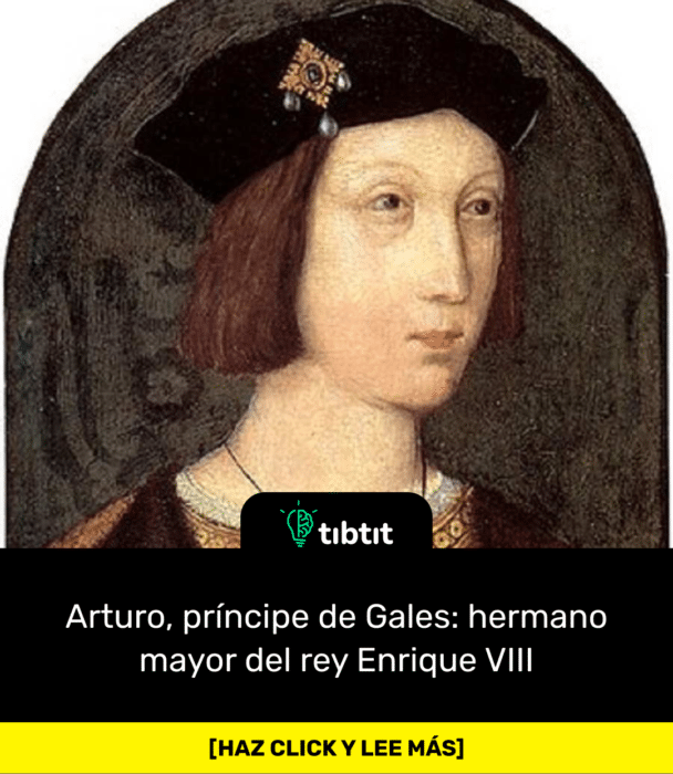 Arturo, príncipe de Gales: hermano mayor del rey Enrique VIII