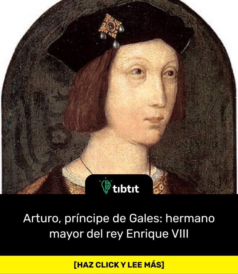Arturo, príncipe de Gales: hermano mayor del rey Enrique VIII