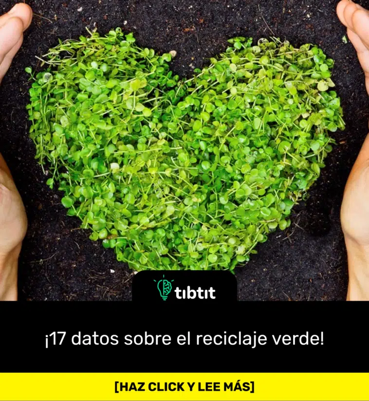 ¡17 datos sobre el reciclaje verde!