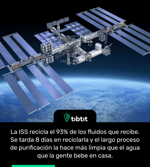 La ISS recicla el 93% de los fluidos que recibe. Se tarda 8 días en reciclarla y el largo proceso de purificación la hace más limpia que el agua que la gente bebe en casa.