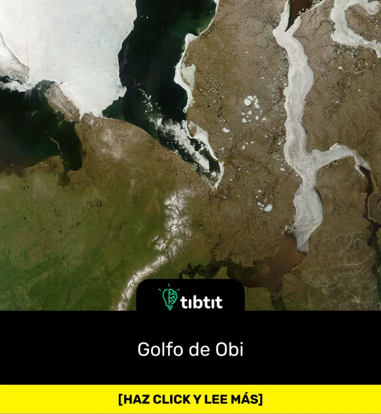 Golfo de Obi