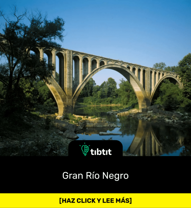 Gran Río Negro