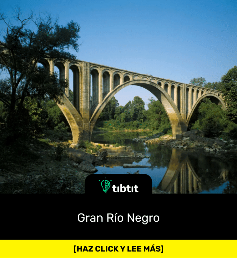 Gran Río Negro