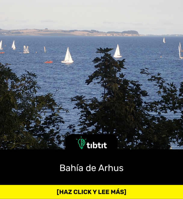 Bahía de Arhus