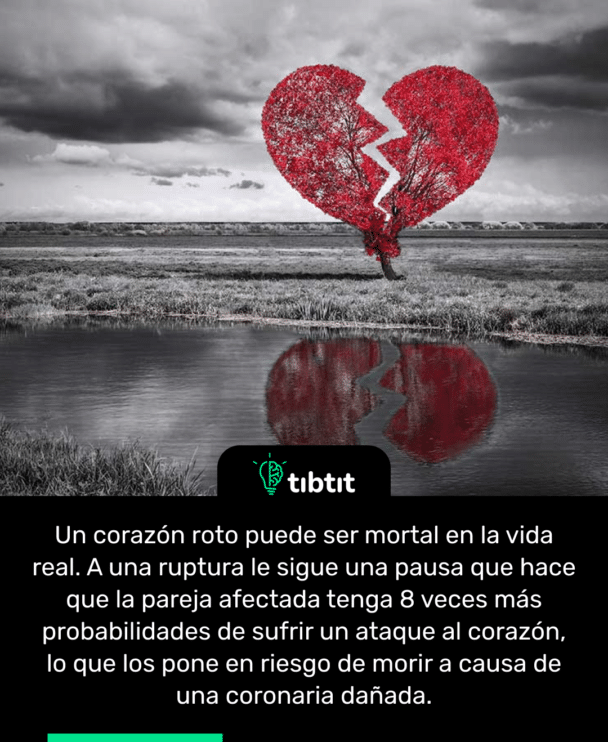 Un corazón roto puede ser mortal en la vida real. A una ruptura le sigue una pausa que hace que la pareja afectada tenga 8 veces más probabilidades de sufrir un ataque al corazón, lo que los pone en riesgo de morir a causa de una coronaria dañada.