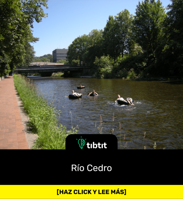 Río Cedro