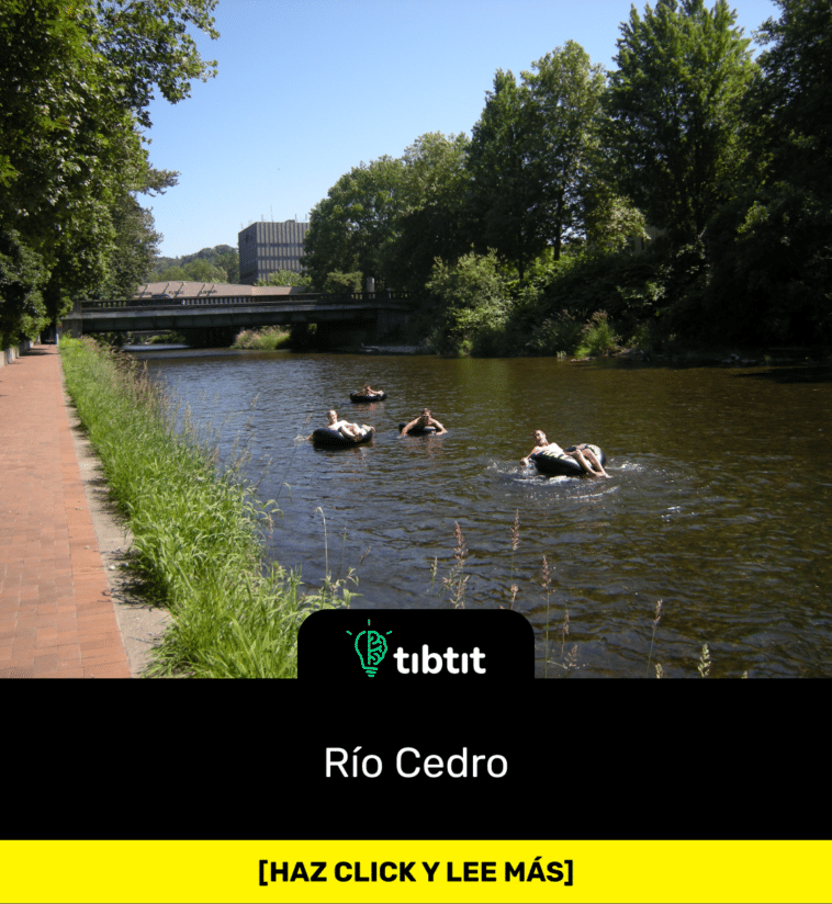 Río Cedro