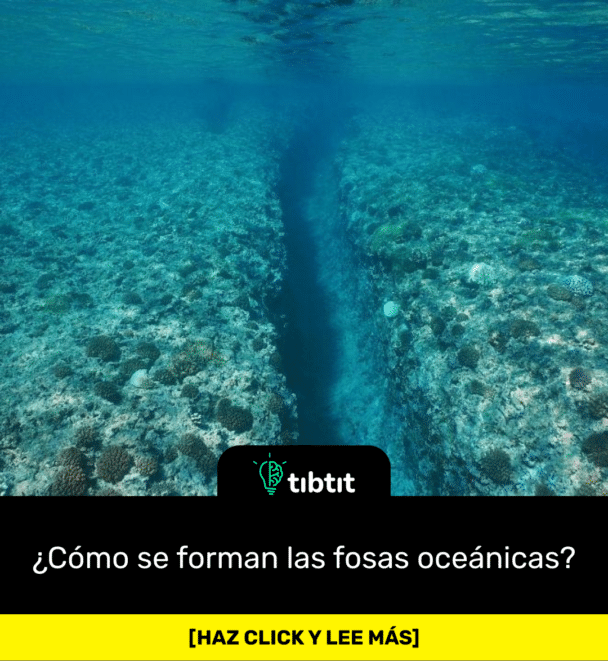 ¿Cómo se forman las fosas oceánicas?