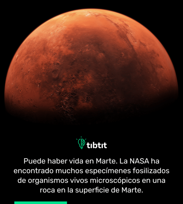 Puede haber vida en Marte. La NASA ha encontrado muchos especímenes fosilizados de organismos vivos microscópicos en una roca en la superficie de Marte.