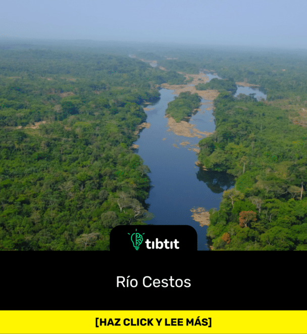 Río Cestos