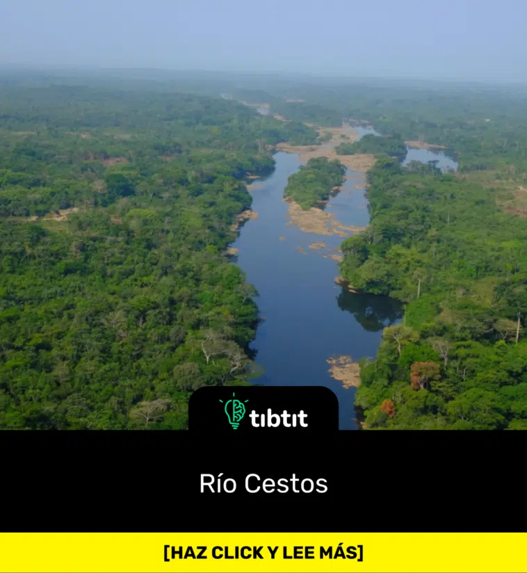 Río Cestos