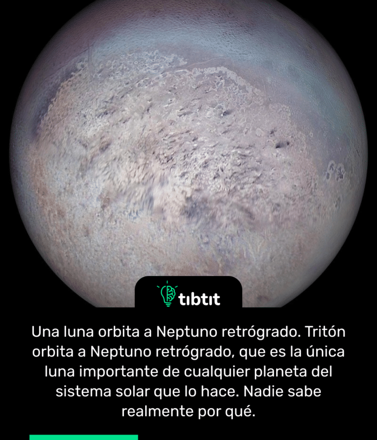 Una luna orbita a Neptuno retrógrado. Tritón orbita a Neptuno retrógrado, que es la única luna importante de cualquier planeta del sistema solar que lo hace. Nadie sabe realmente por qué.