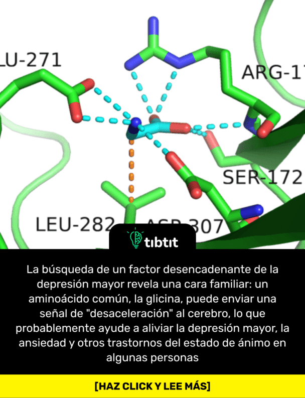La búsqueda de un factor desencadenante de la depresión mayor revela una cara familiar: un aminoácido común, la glicina, puede enviar una señal de "desaceleración" al cerebro, lo que probablemente ayude a aliviar la depresión mayor, la ansiedad y otros trastornos del estado de ánimo en algunas personas